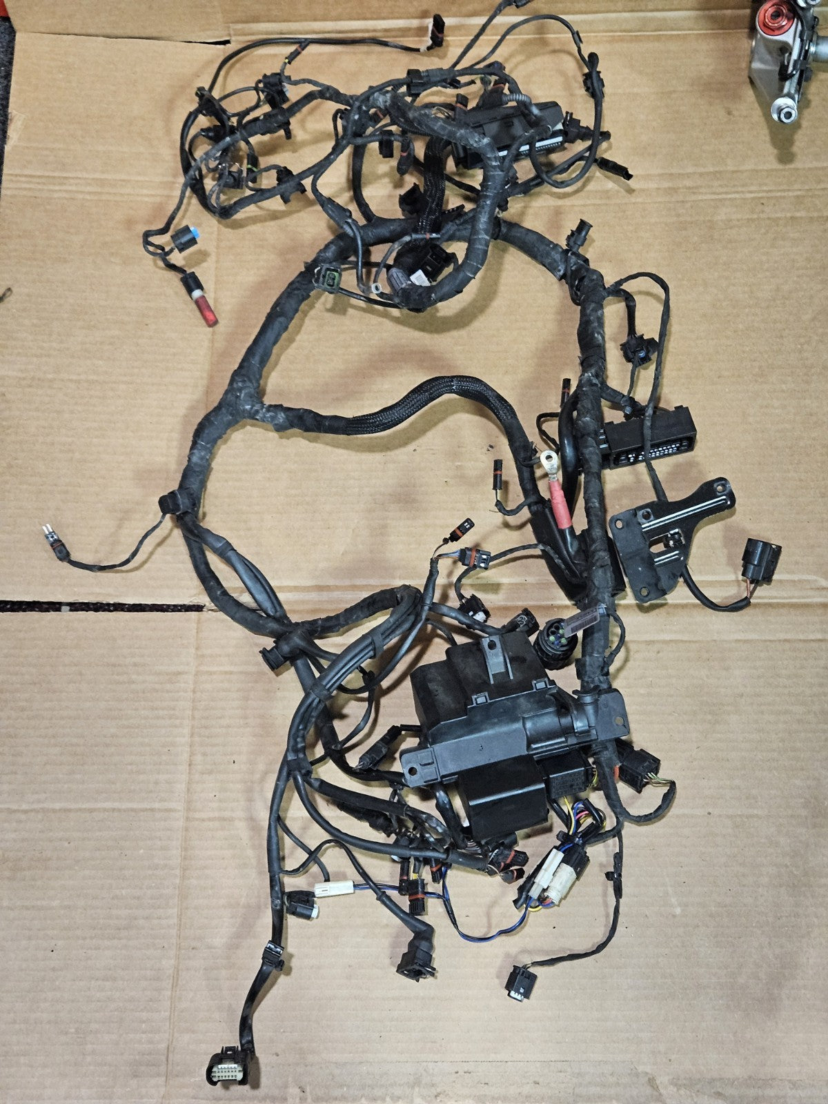 2010-2014 2013 BMW S1000RR OEM MAIN ENGINE WIRING HARNESS MOTOR WIRE LOOM