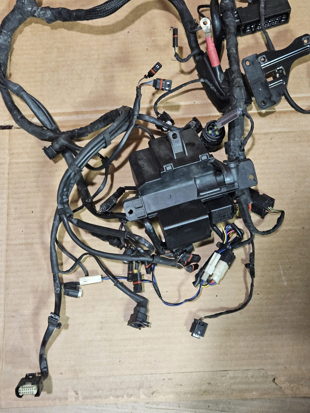 2010-2014 2013 BMW S1000RR OEM MAIN ENGINE WIRING HARNESS MOTOR WIRE LOOM