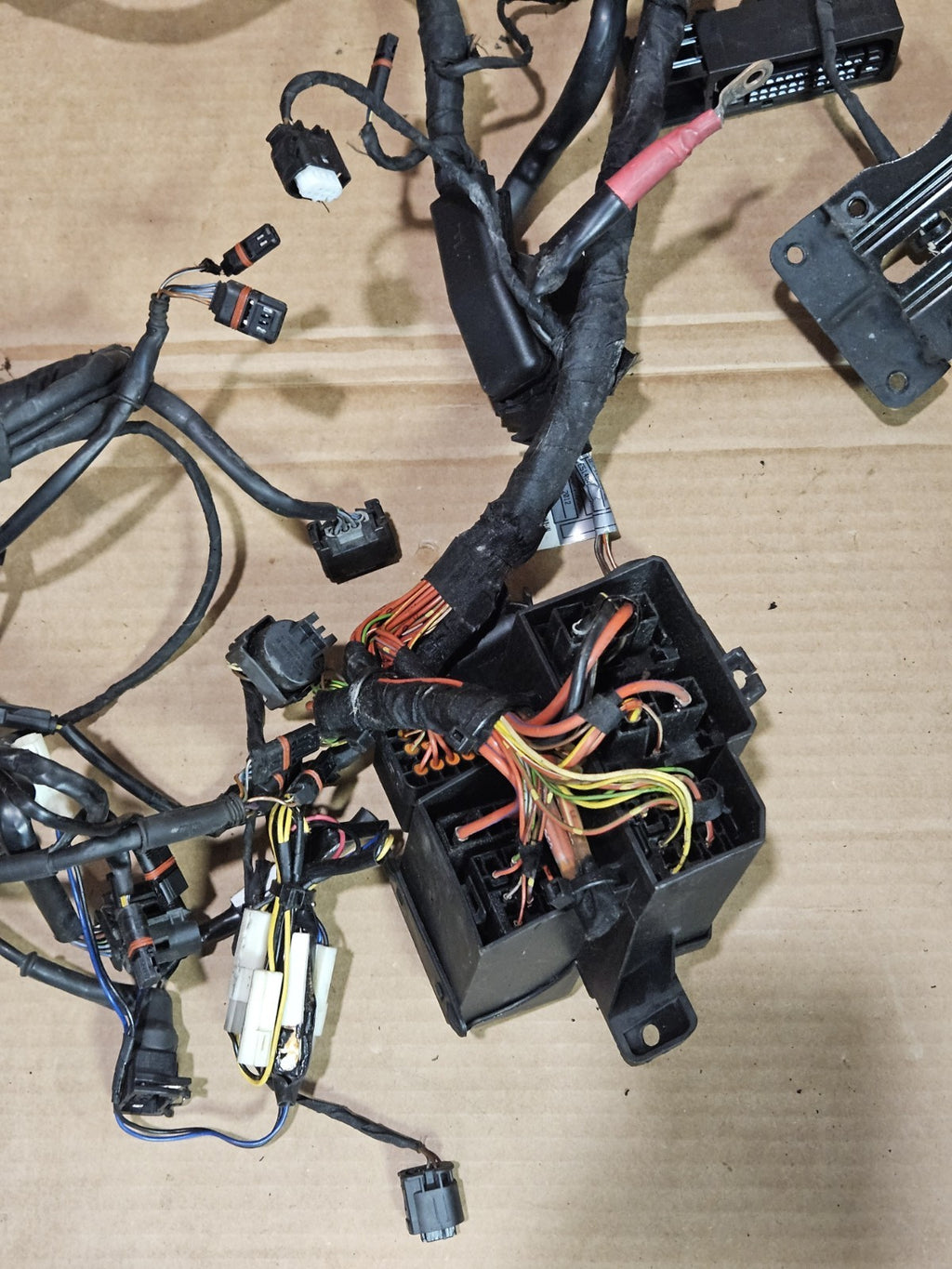 2010-2014 2013 BMW S1000RR OEM MAIN ENGINE WIRING HARNESS MOTOR WIRE LOOM