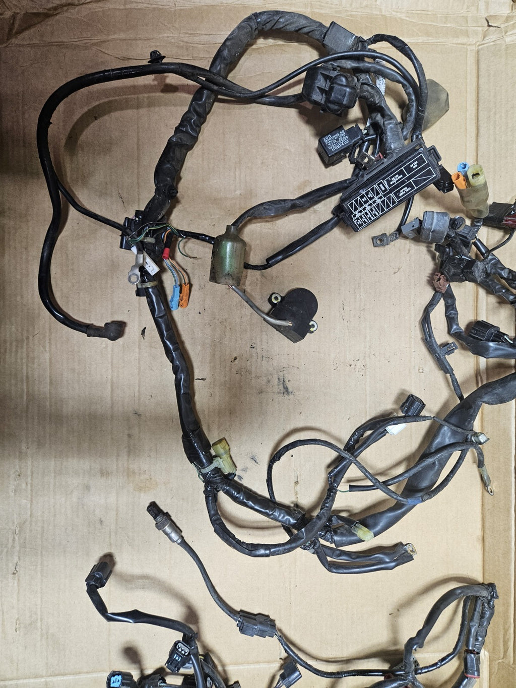 2011 Honda CB1000R Main Engine Wiring Harness Motor Wire Loom OEM Cylinder Head