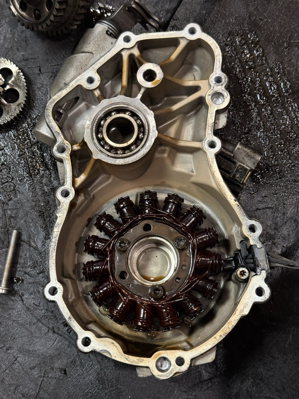 09-19 BMW S1000RR OEM Stator Magneto Alternator Cover Gears Left Engine Case21