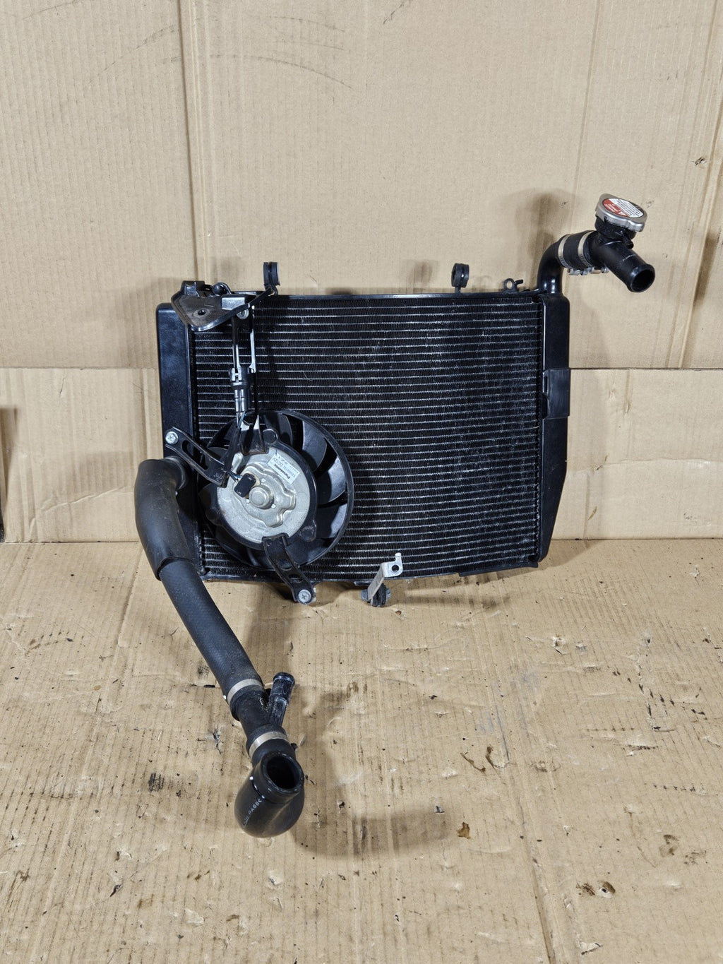 2013 Honda CBR600RR Radiator Complete with Fan hoses OEM 2013-2020 Honda CBR6001