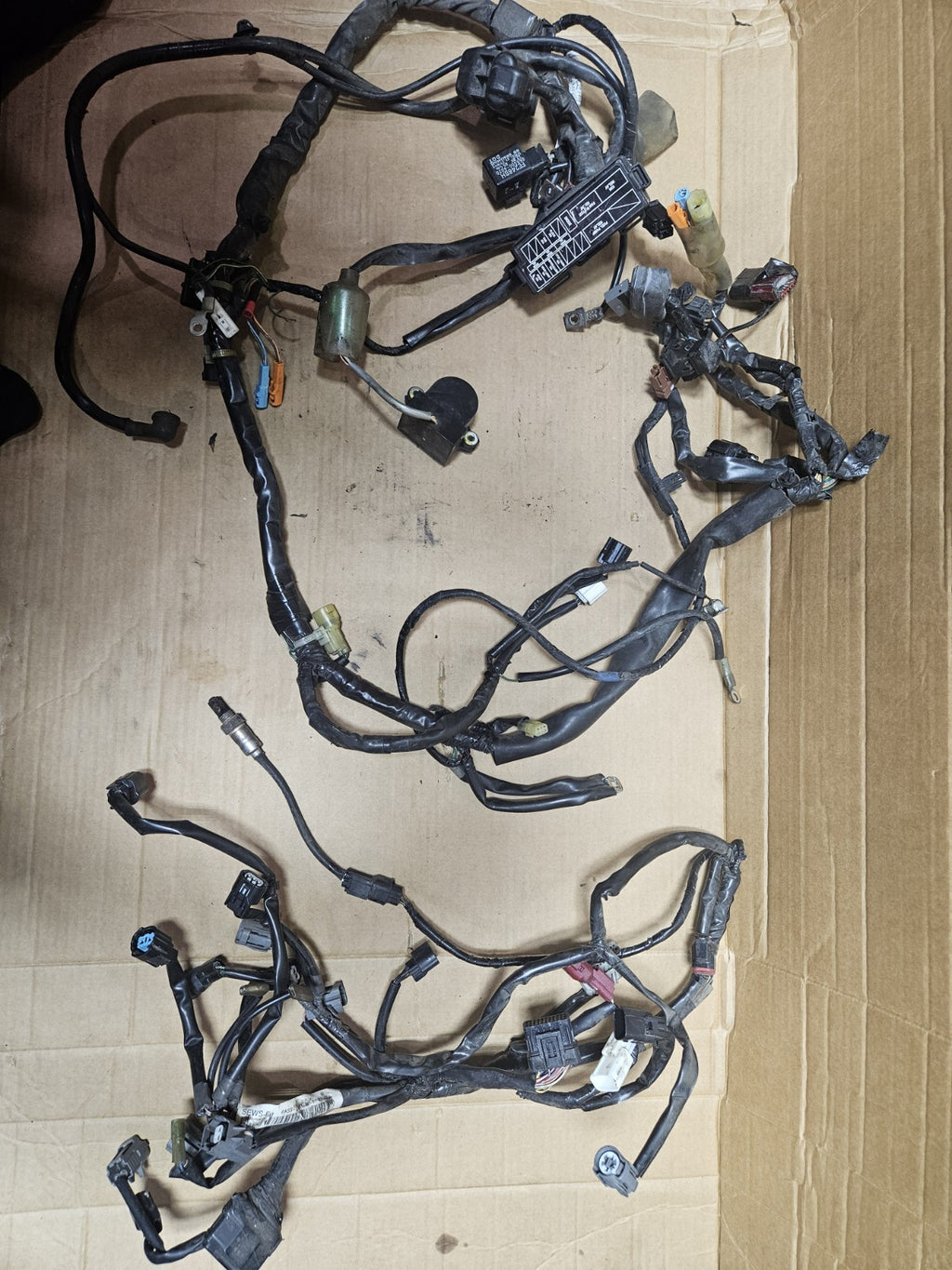2011 Honda CB1000R Main Engine Wiring Harness Motor Wire Loom OEM Cylinder Head