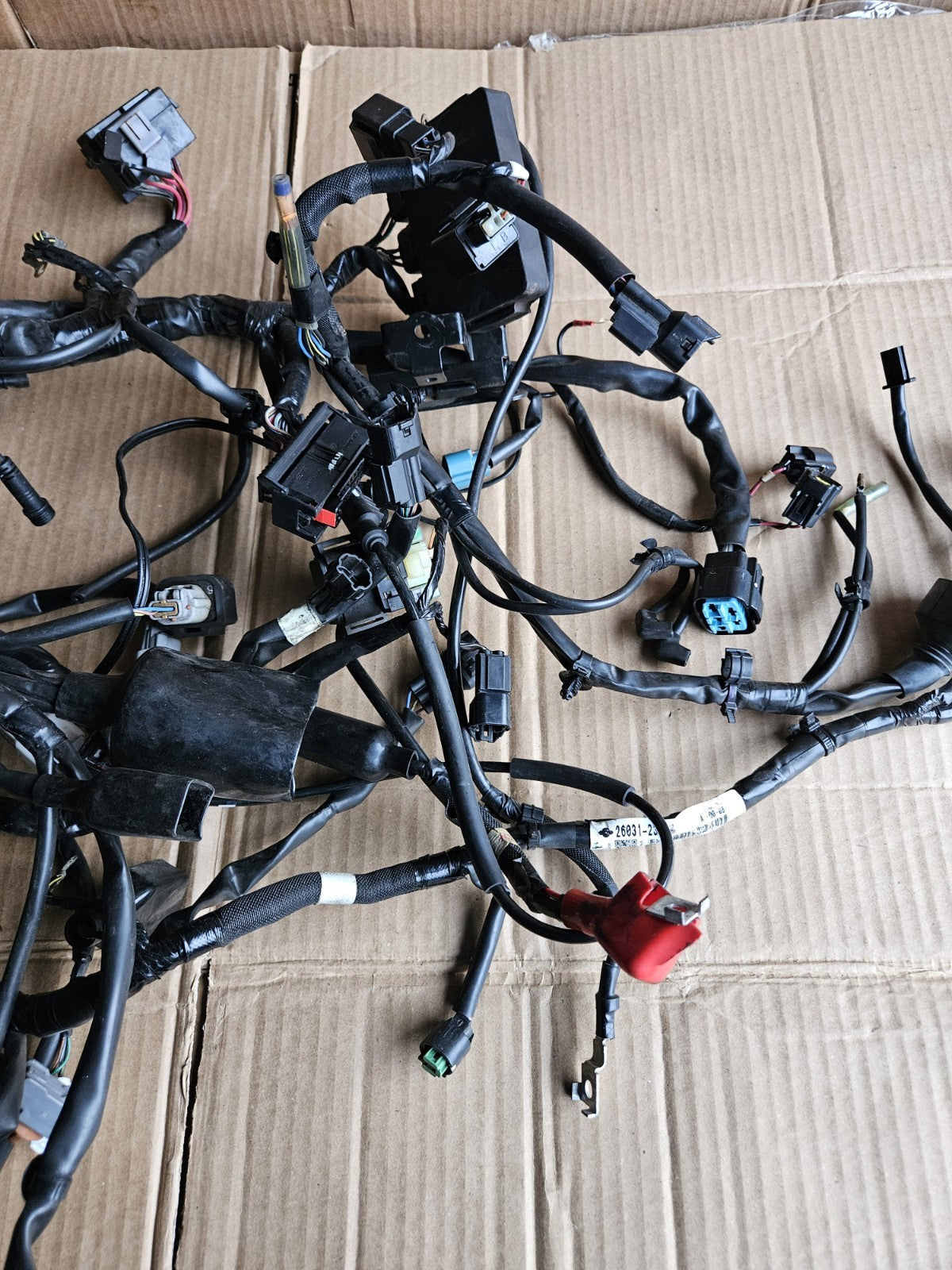 2017-2019 Kawasaki Ninja 650 EX650 ABS OEM Main Engine Wiring Harness Loom1