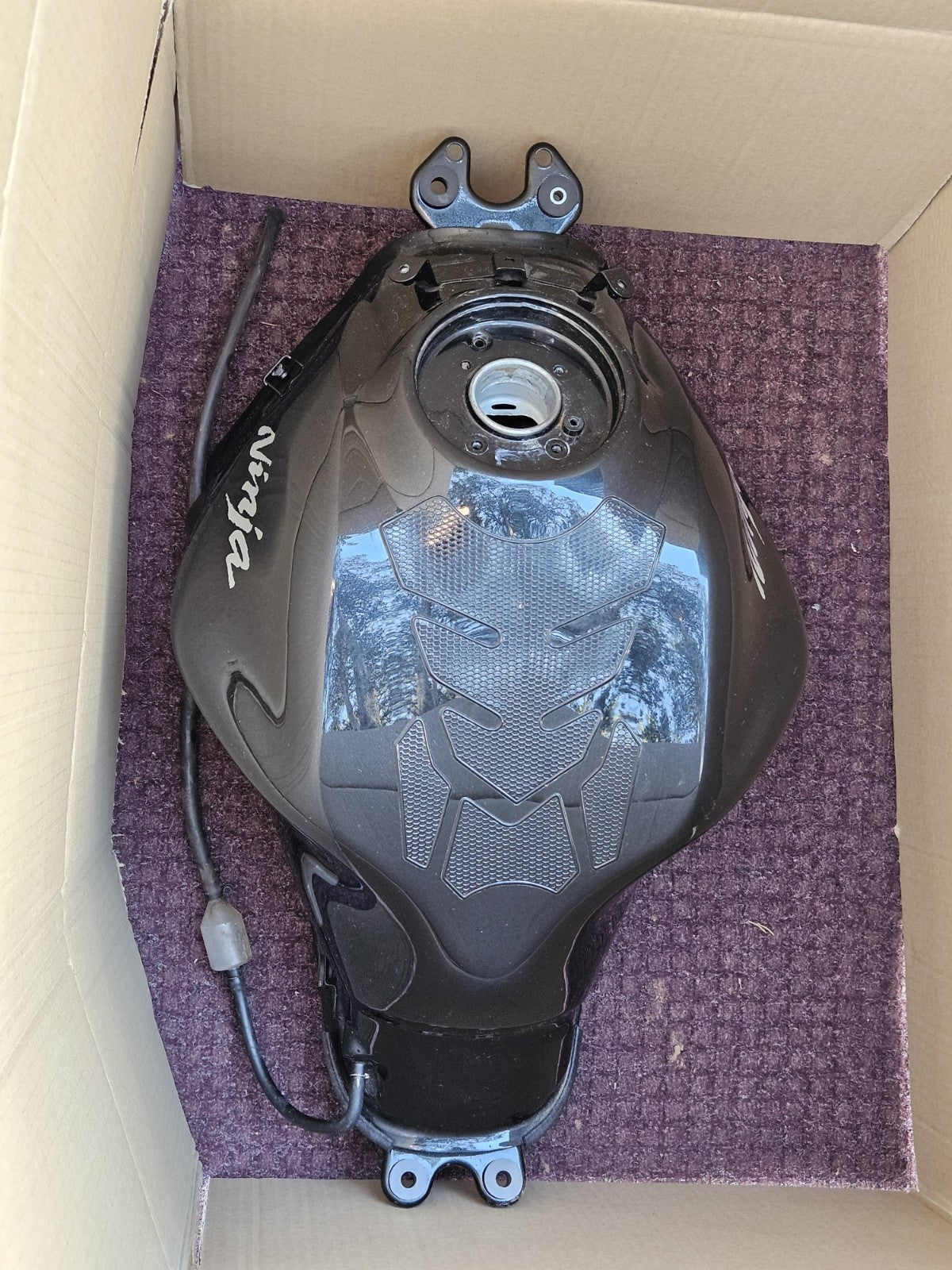 17-19 KAWASAKI NINJA 650 GAS TANK FUEL RESERVOIR CELL GLOSS BLACK CLEAN0