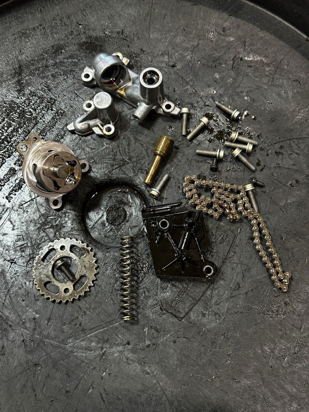 2009-2014 BMW S1000RR OEM Oil Pump Sump Chain Gear Engine Internal Parts5