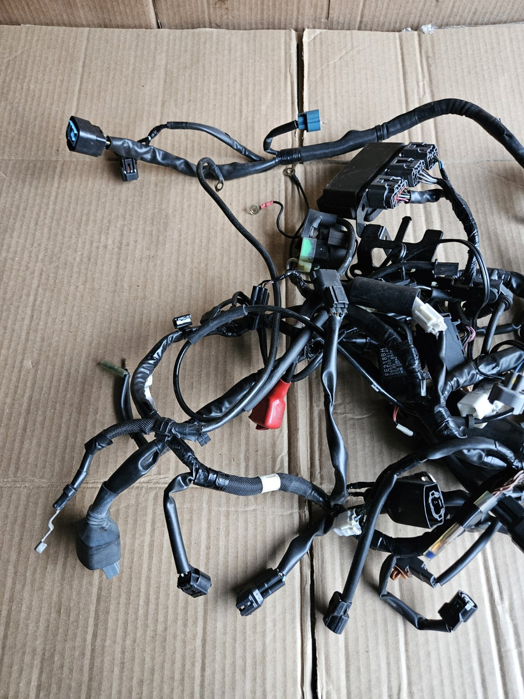 2017-2019 Kawasaki Ninja 650 EX650 ABS OEM Main Engine Wiring Harness Loom20