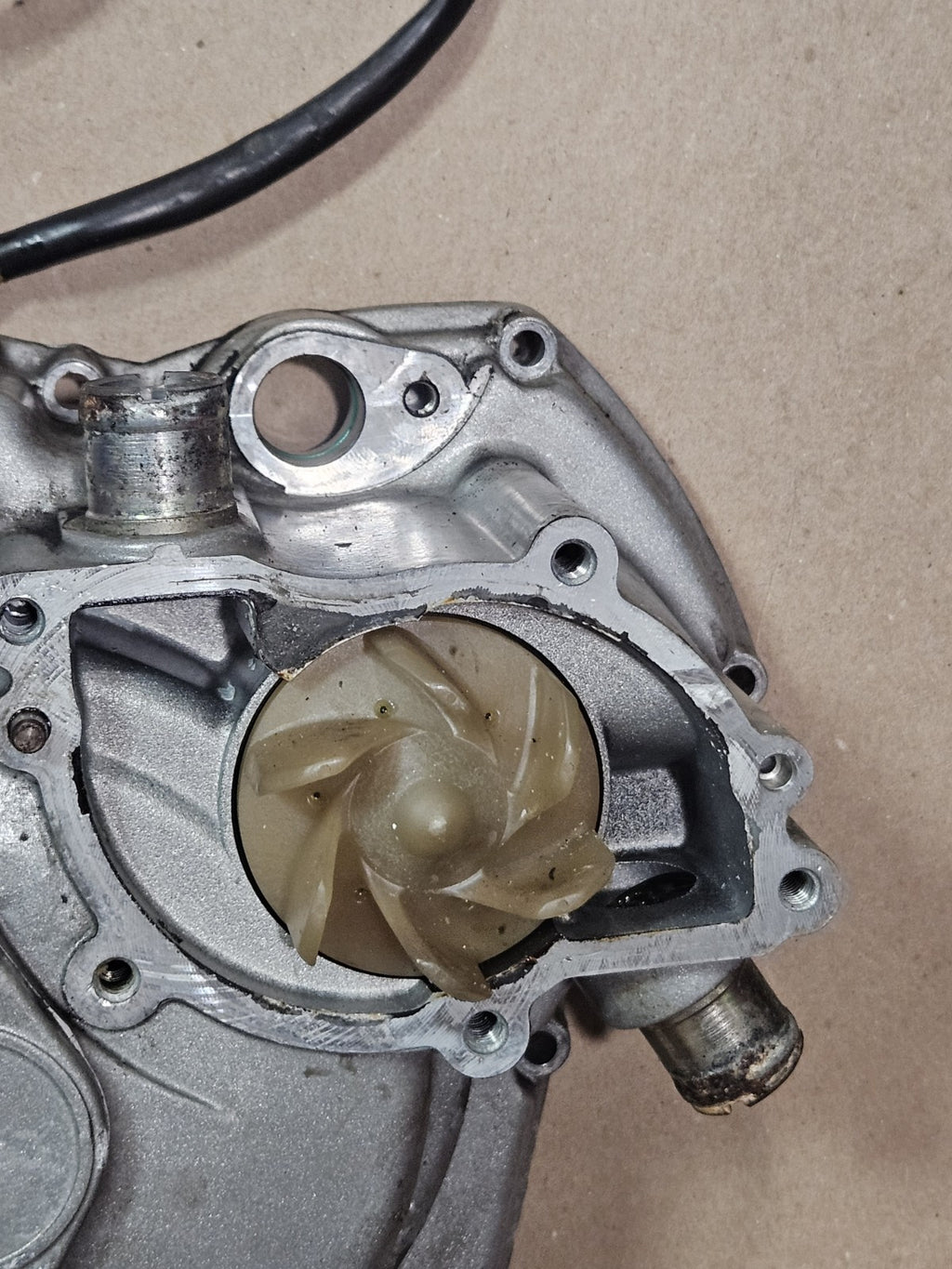 94-05 Ducati 748 916 996 998 ST2 ST4 Monster S4 OEM Left Engine Stator Cover