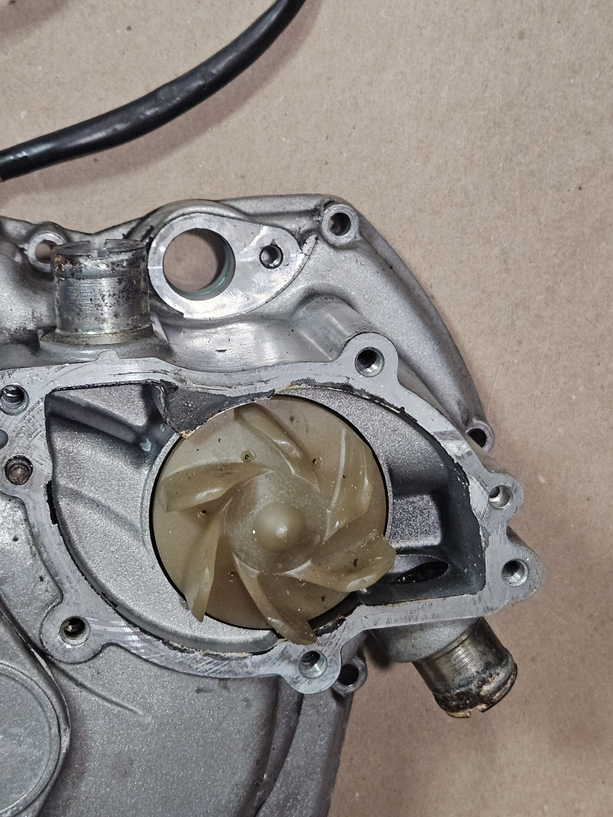 94-05 Ducati 748 916 996 998 ST2 ST4 Monster S4 OEM Left Engine Stator Cover