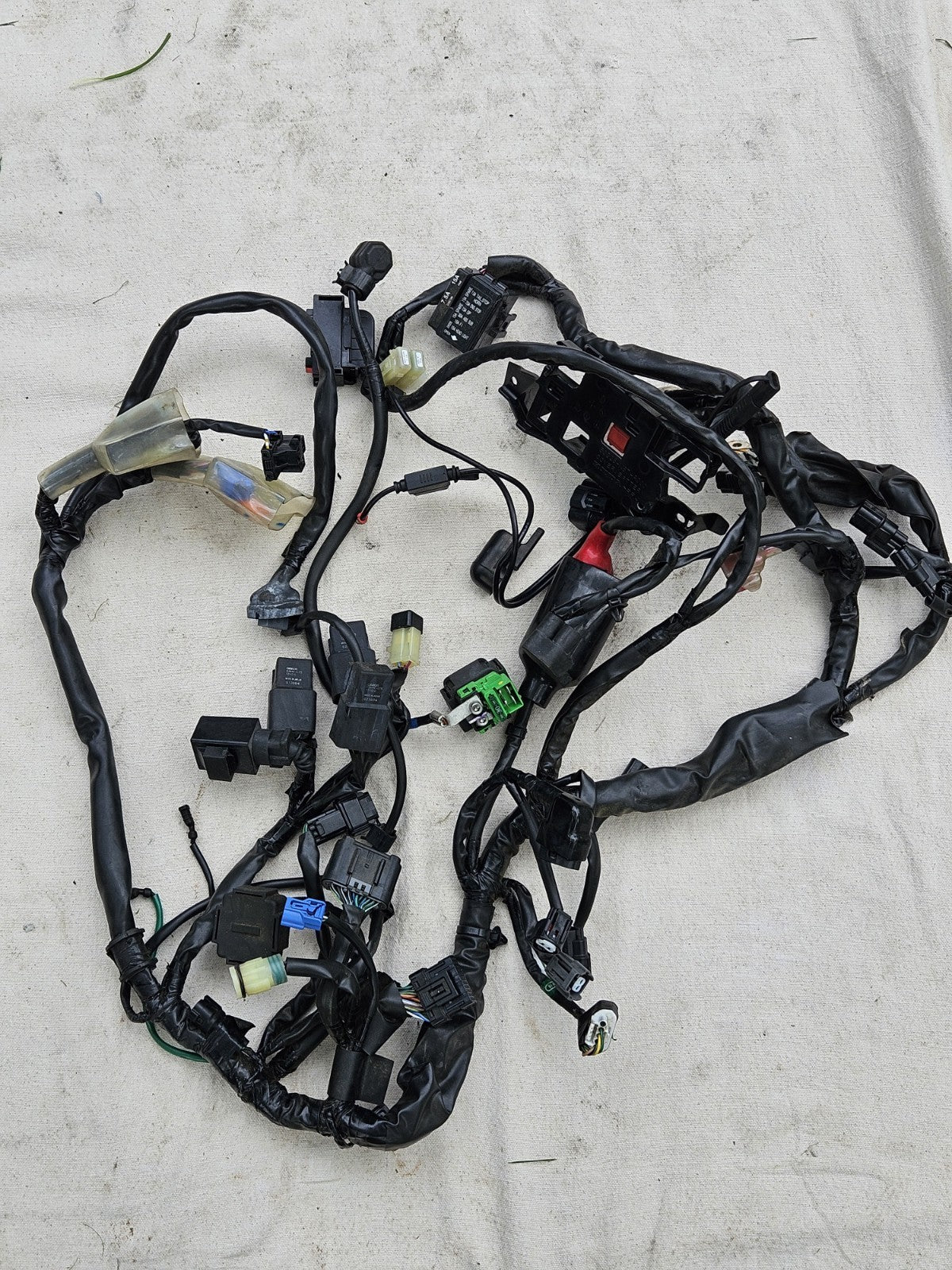 2017-2019 Honda Rebel 300 CMX300 OEM Main Wire Harness Wiring Loom 32100-K87-A000