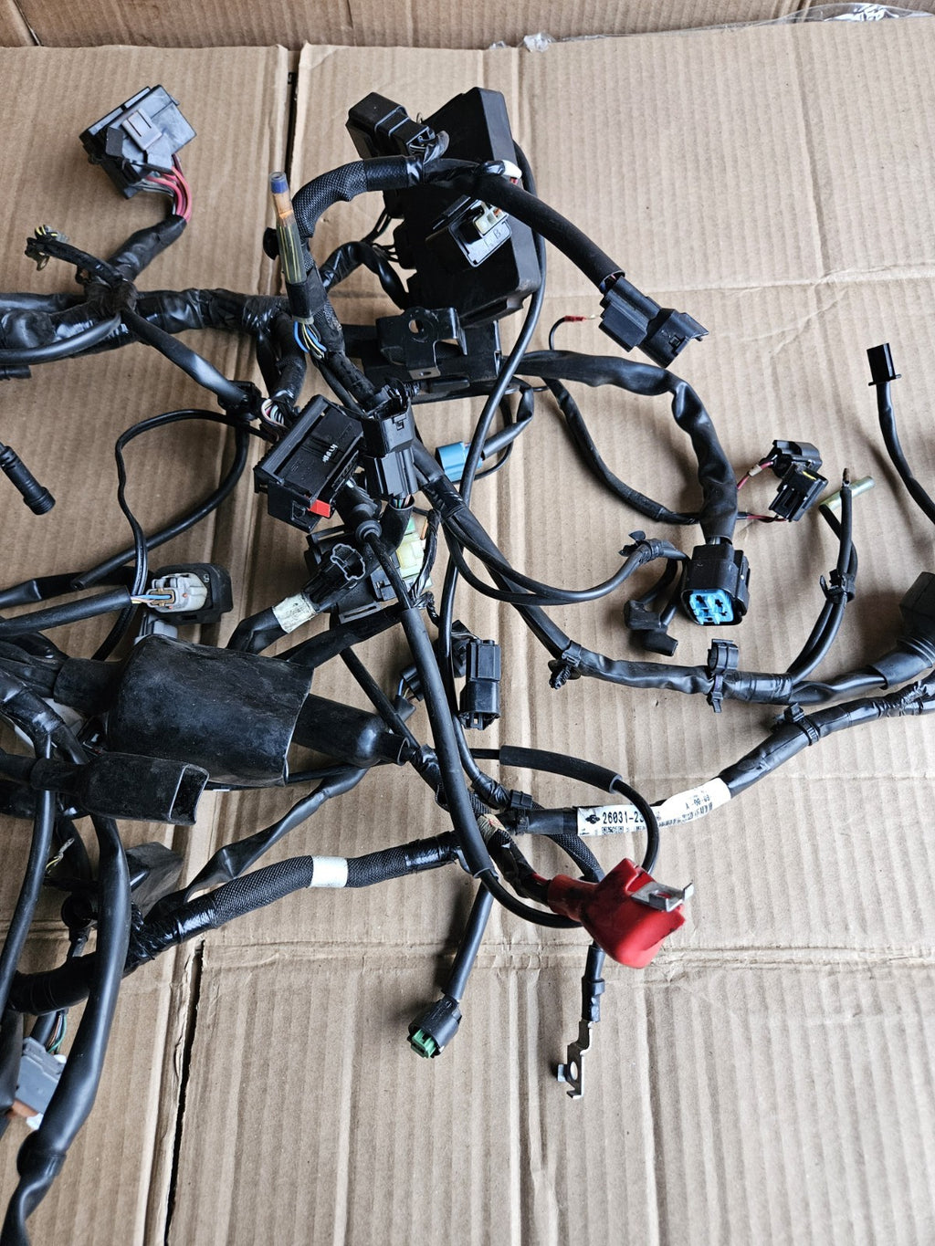 2017-2019 Kawasaki Ninja 650 EX650 ABS OEM Main Engine Wiring Harness Loom2