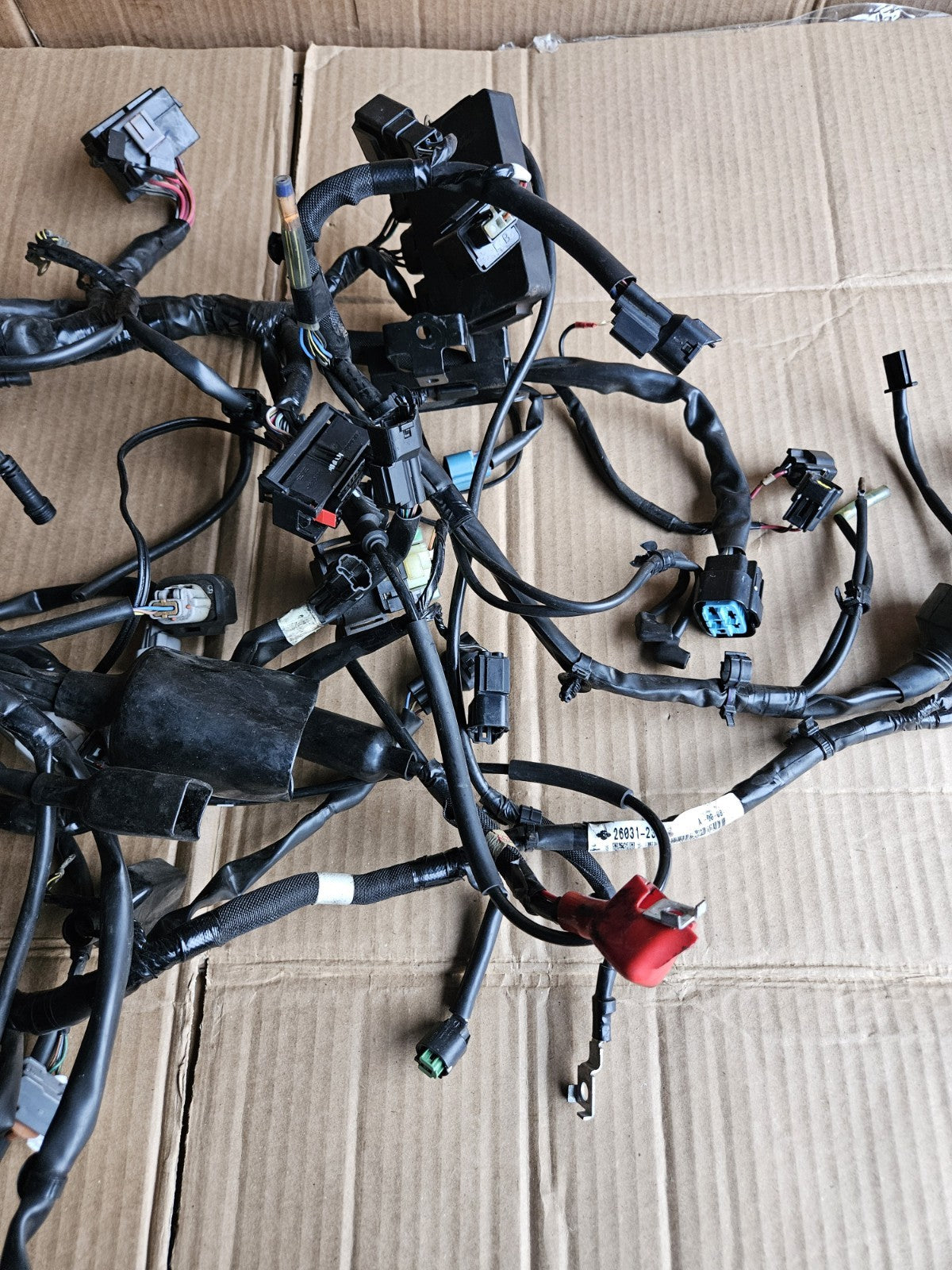 2017-2019 Kawasaki Ninja 650 EX650 ABS OEM Main Engine Wiring Harness Loom2