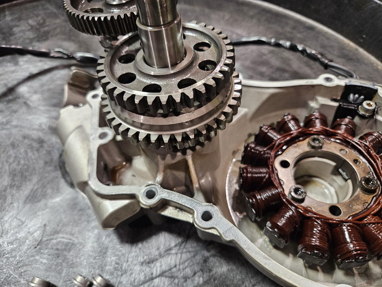 09-19  BMW S1000RR Engine Stator Magneto Alternator Cover Gears OEM Left Case