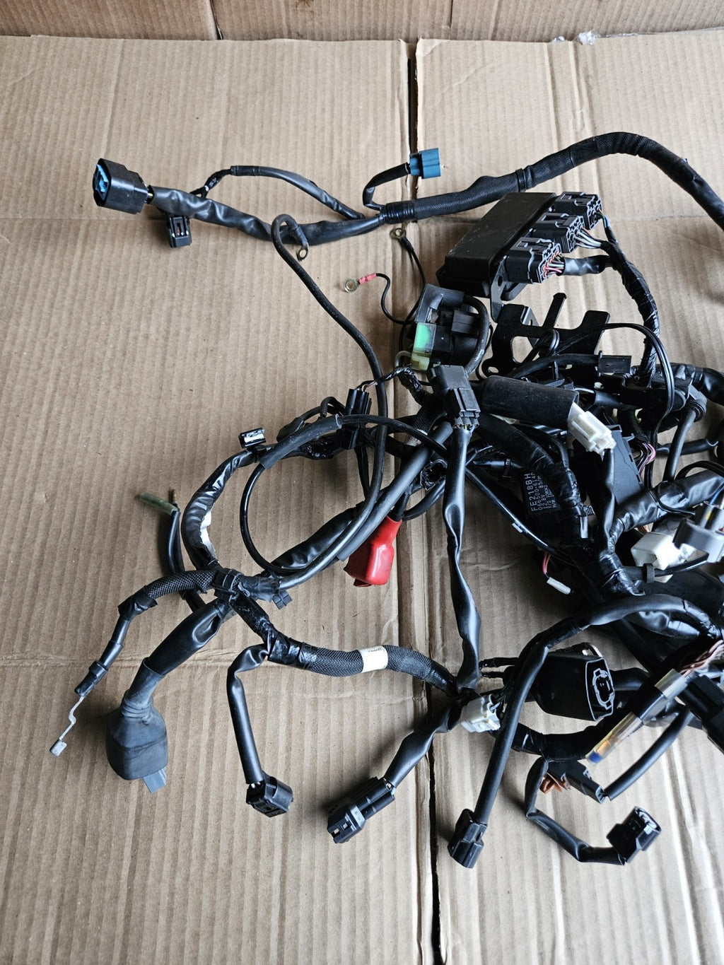 2017-2019 Kawasaki Ninja 650 EX650 ABS OEM Main Engine Wiring Harness Loom9